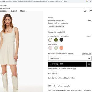 Aritzia Wilfred Market Mini Dress-Color Light Birch-Size Small